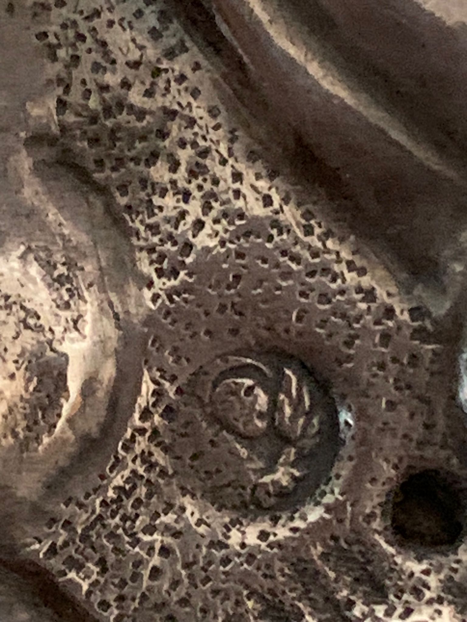 1693858020115.jpg