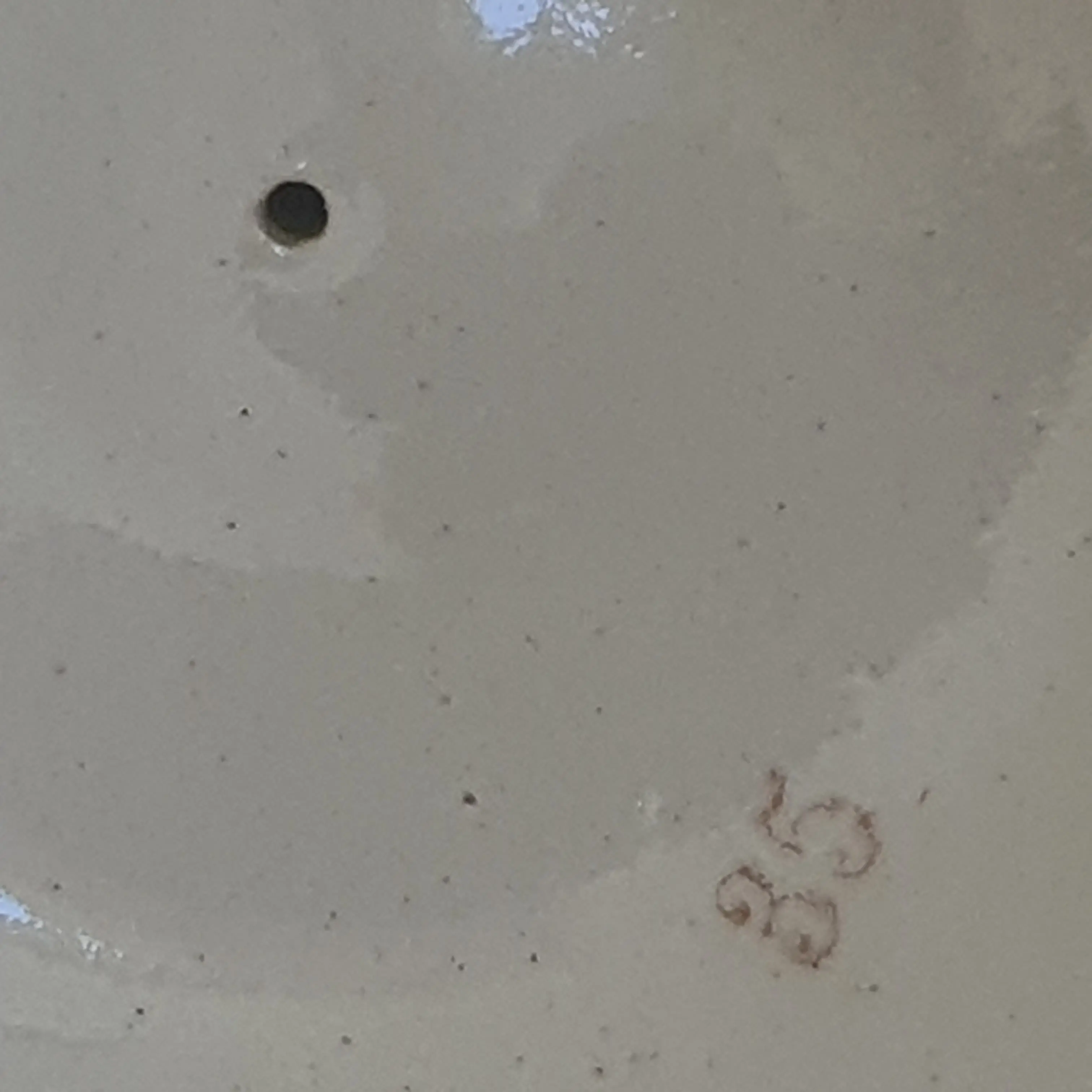 20230911_121946.jpg