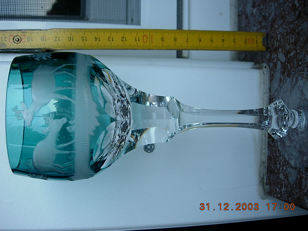 DSCN8313.JPG
