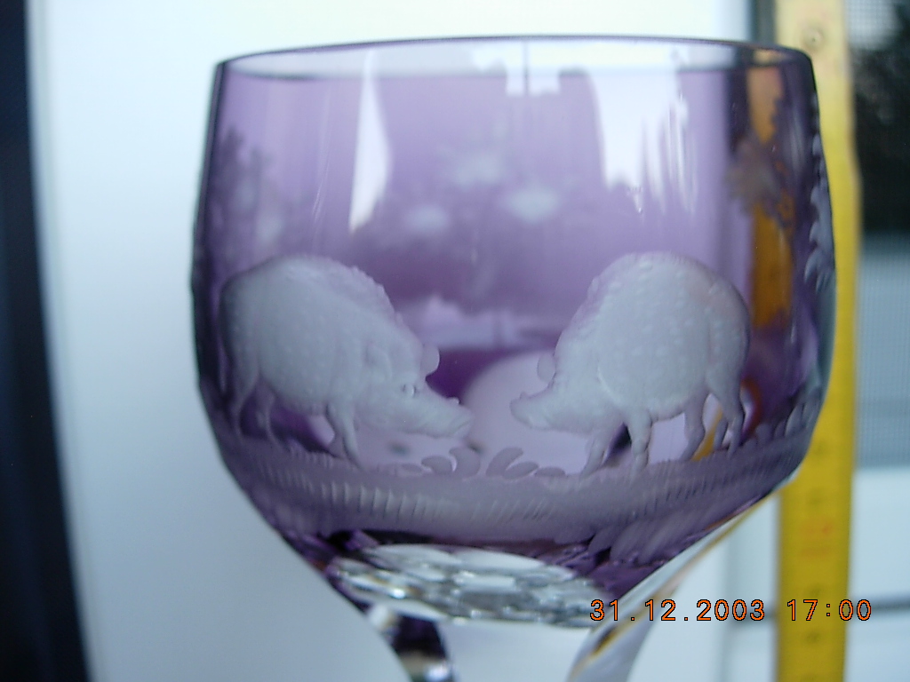 DSCN8315.JPG