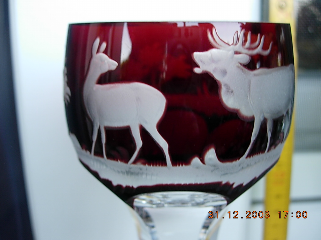 DSCN8318.JPG