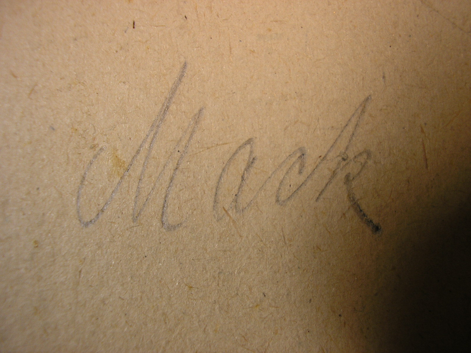 P1010012.JPG