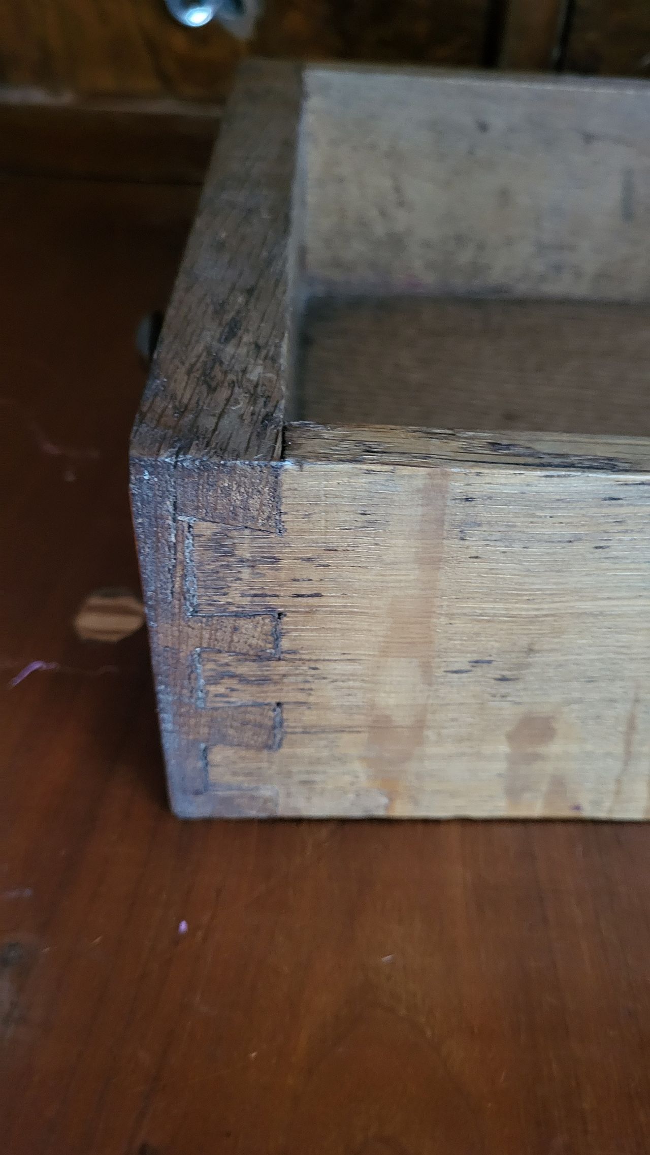 20230930_175433.jpg