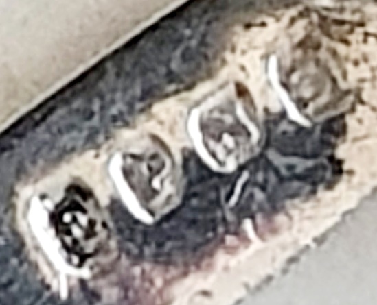 20231108_095614.jpg