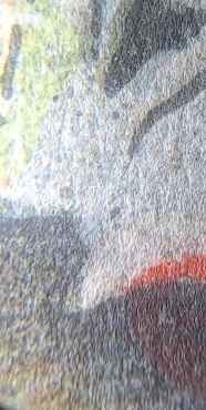 20231116_194716.jpg