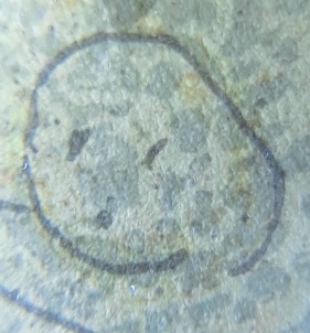 20231116_194726.jpg