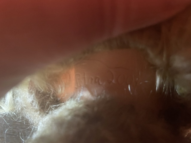 image2.jpeg