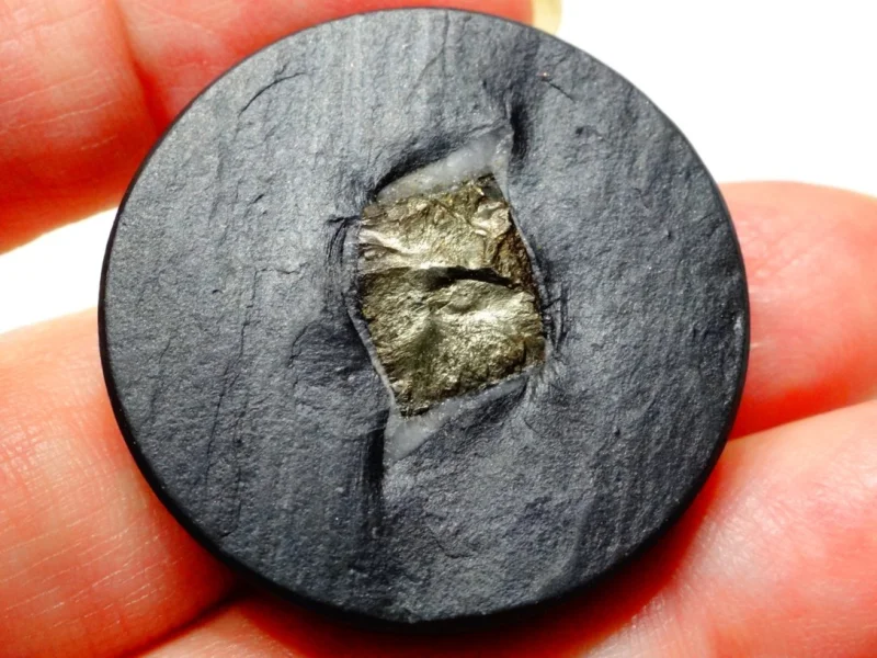 Pyritschiefer (7).JPG