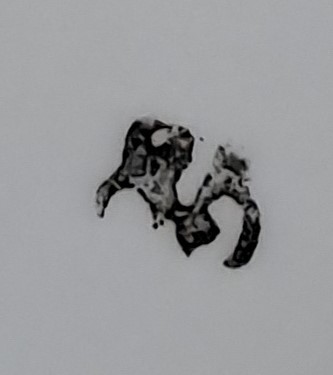 20240107_141431.jpg