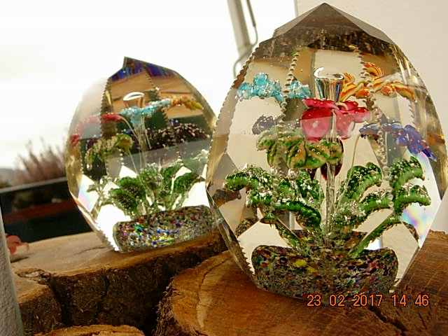 DSCN7115.JPG