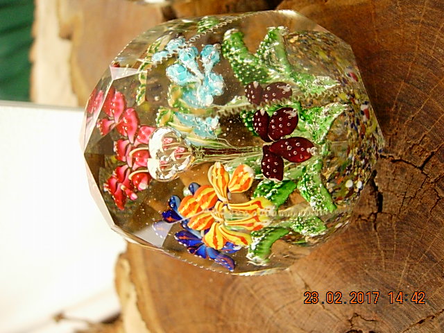 DSCN7103.JPG