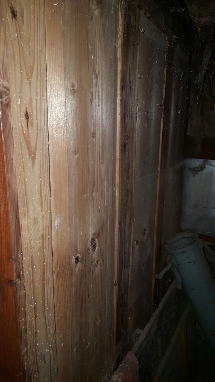 IMG-20170227-WA0020.jpg