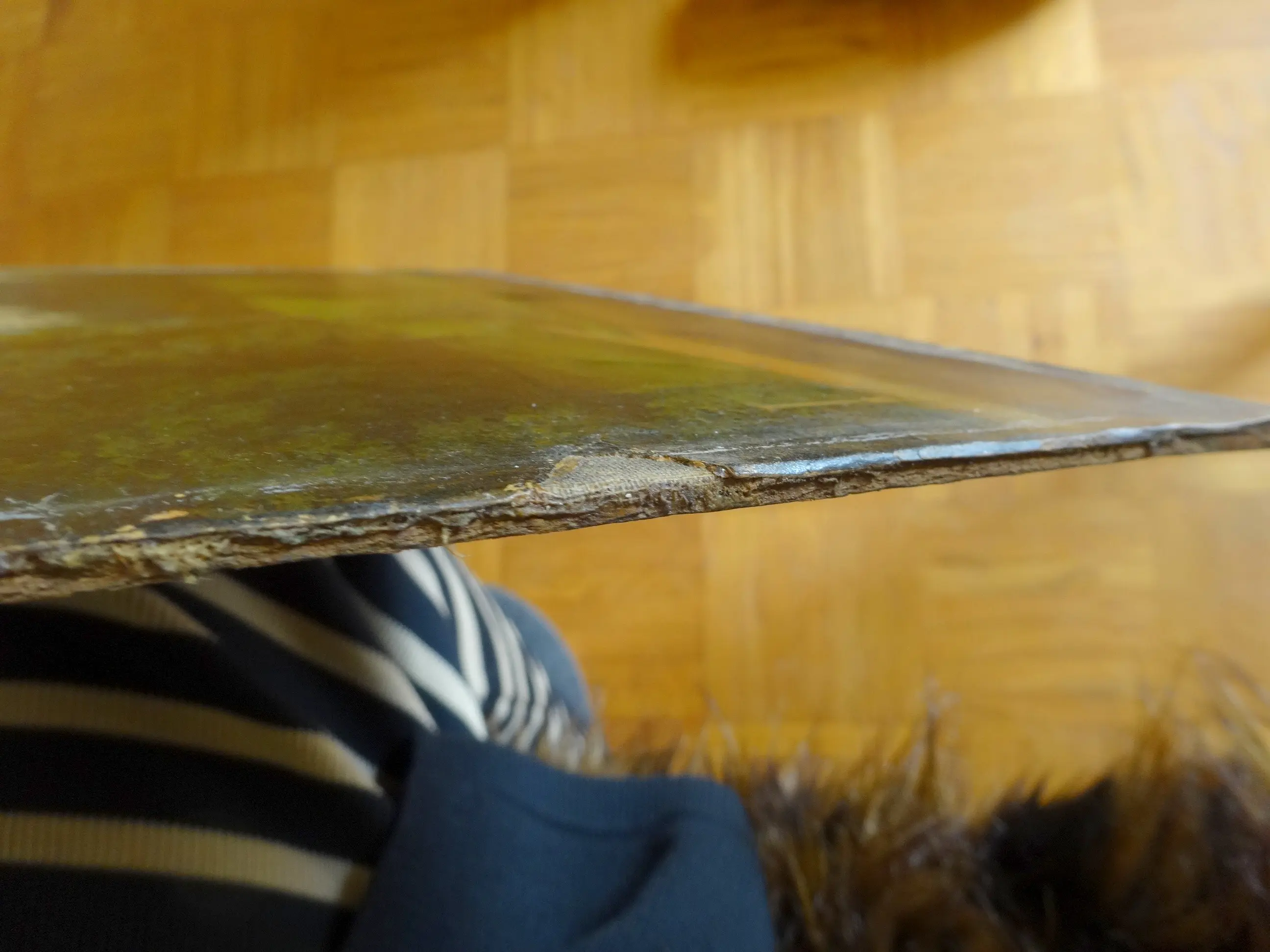 Rückseite (10).JPG