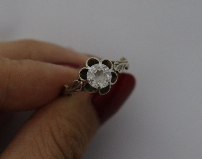 Ring Aufsicht