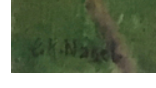 Screenshot 2024-03-31 at 11-06-54 Bürgerverein Bulach - Karl-Nagel-Stube.png