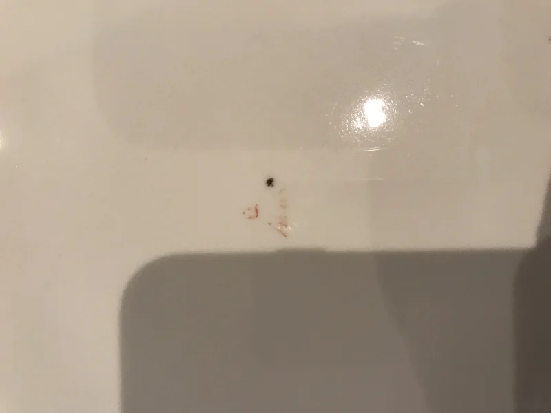 2017-03-17 um 21-52-17.JPG