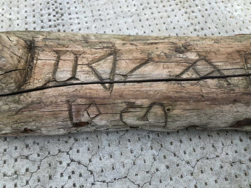 Initialen eingekerbt