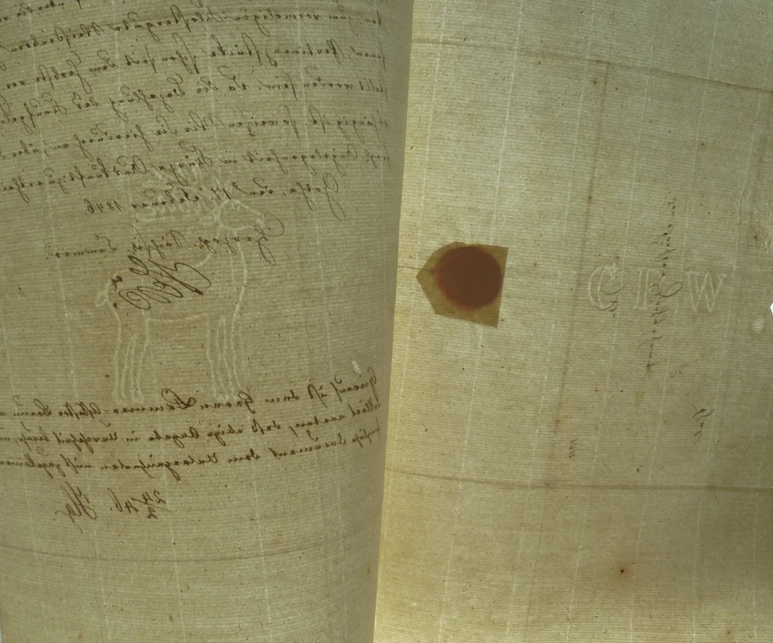 P1210655.JPG