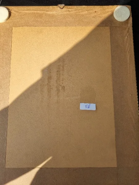 20240519_163500.jpg