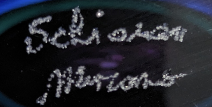 Screenshot_20240530-111409.jpg
