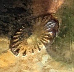 449538749_997726708283993_168030984954777645_n.jpg