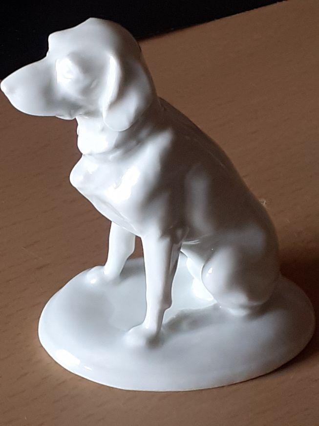 Hund Unbekannt 1.jpg