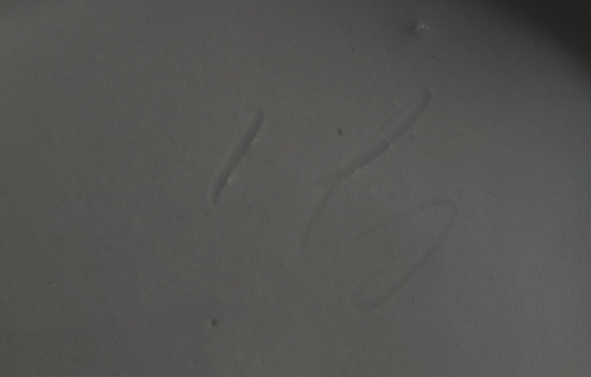20240808_195303.jpg