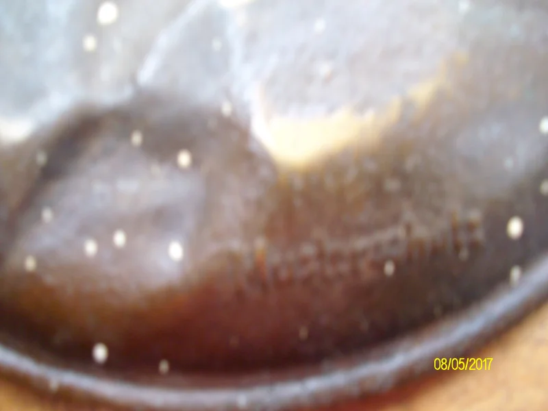 ALIM8426.JPG