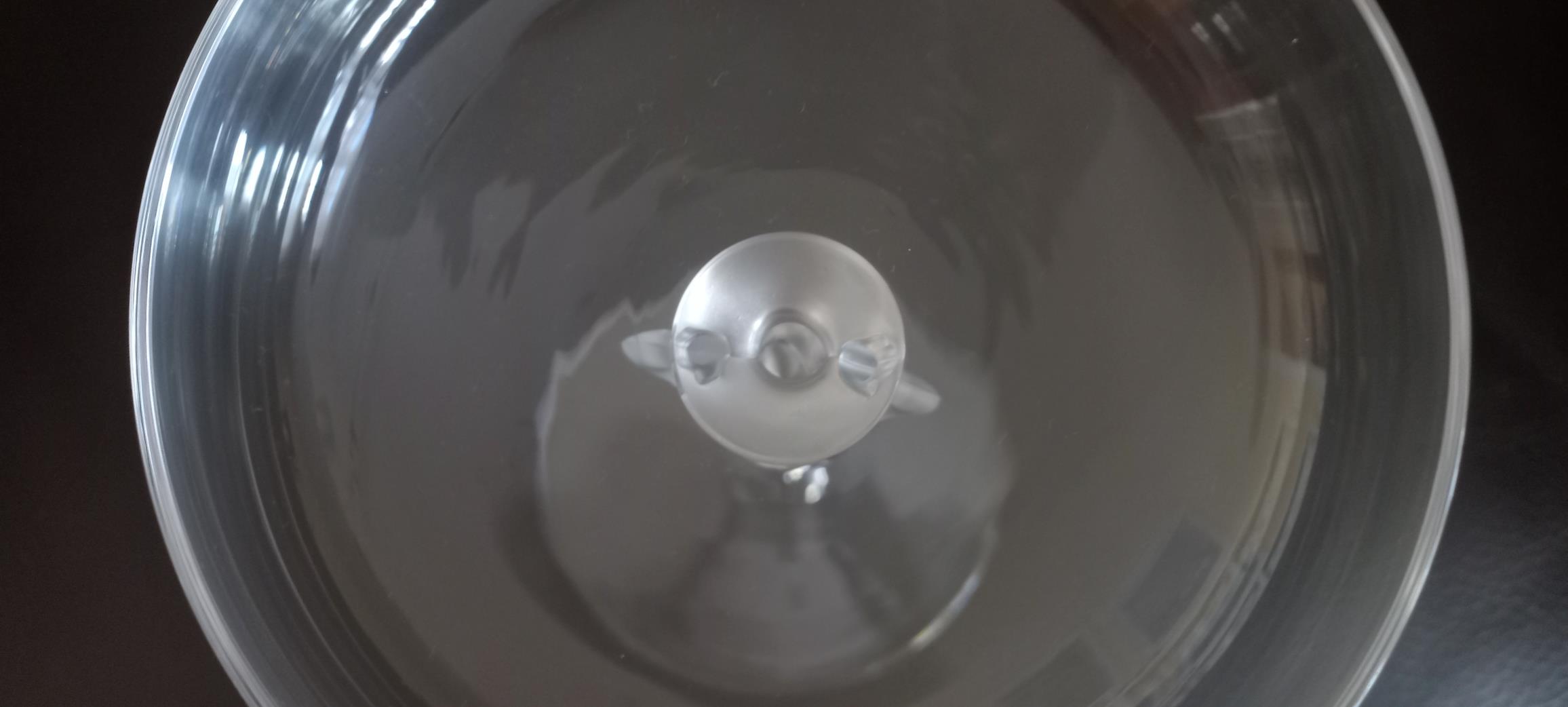 20240810_173955.jpg