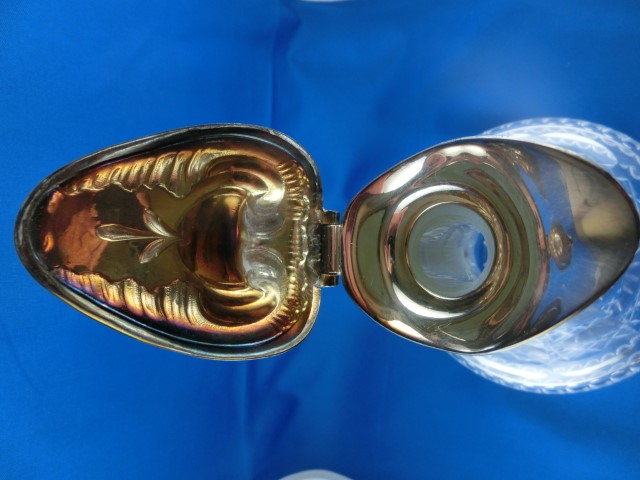 CIMG1336 (Small).JPG
