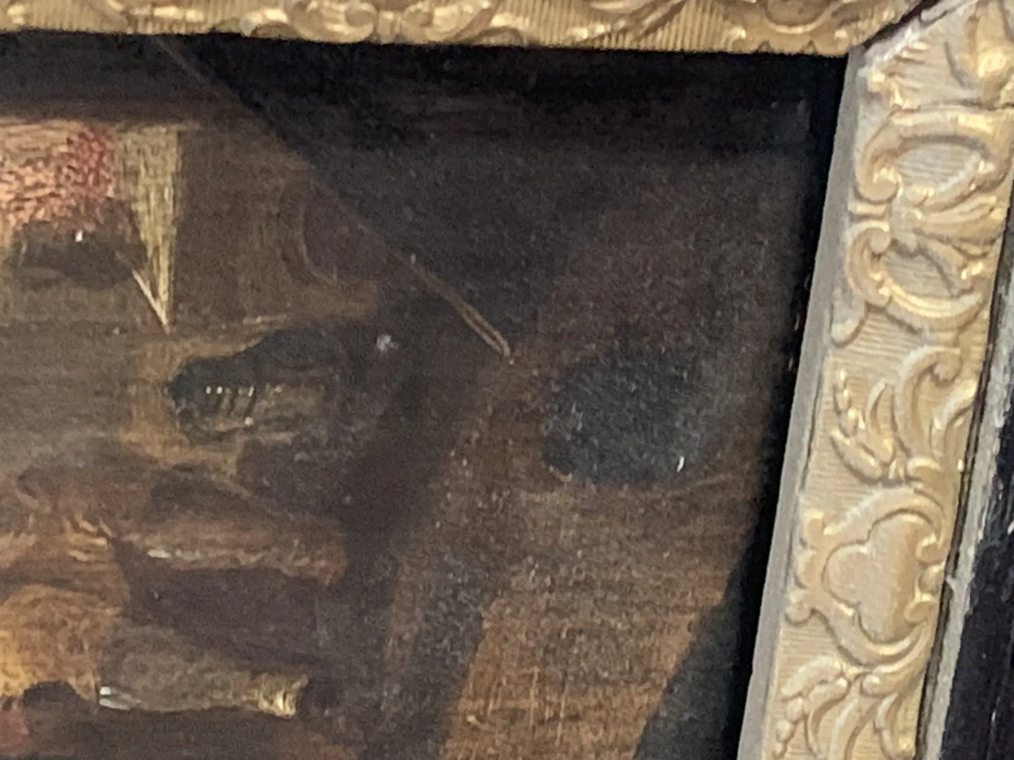 IMG_1780.jpeg