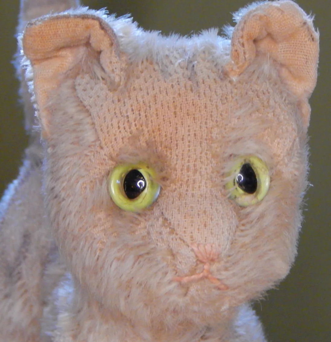 6Katze.JPG