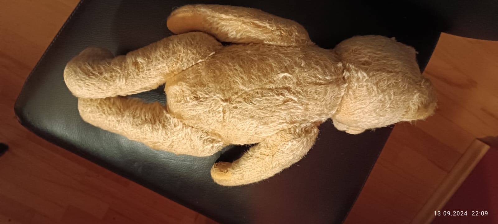 IMG-20240913-WA0012.jpg