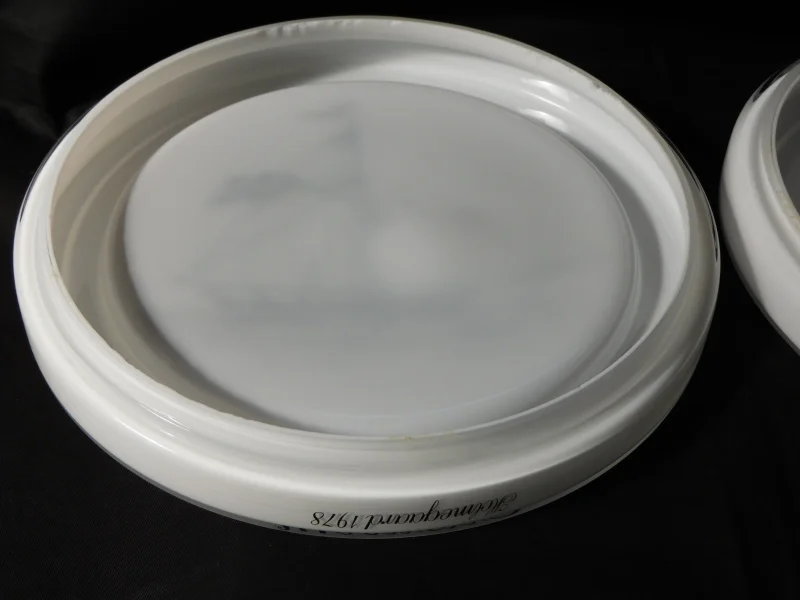 DSCI0058.JPG