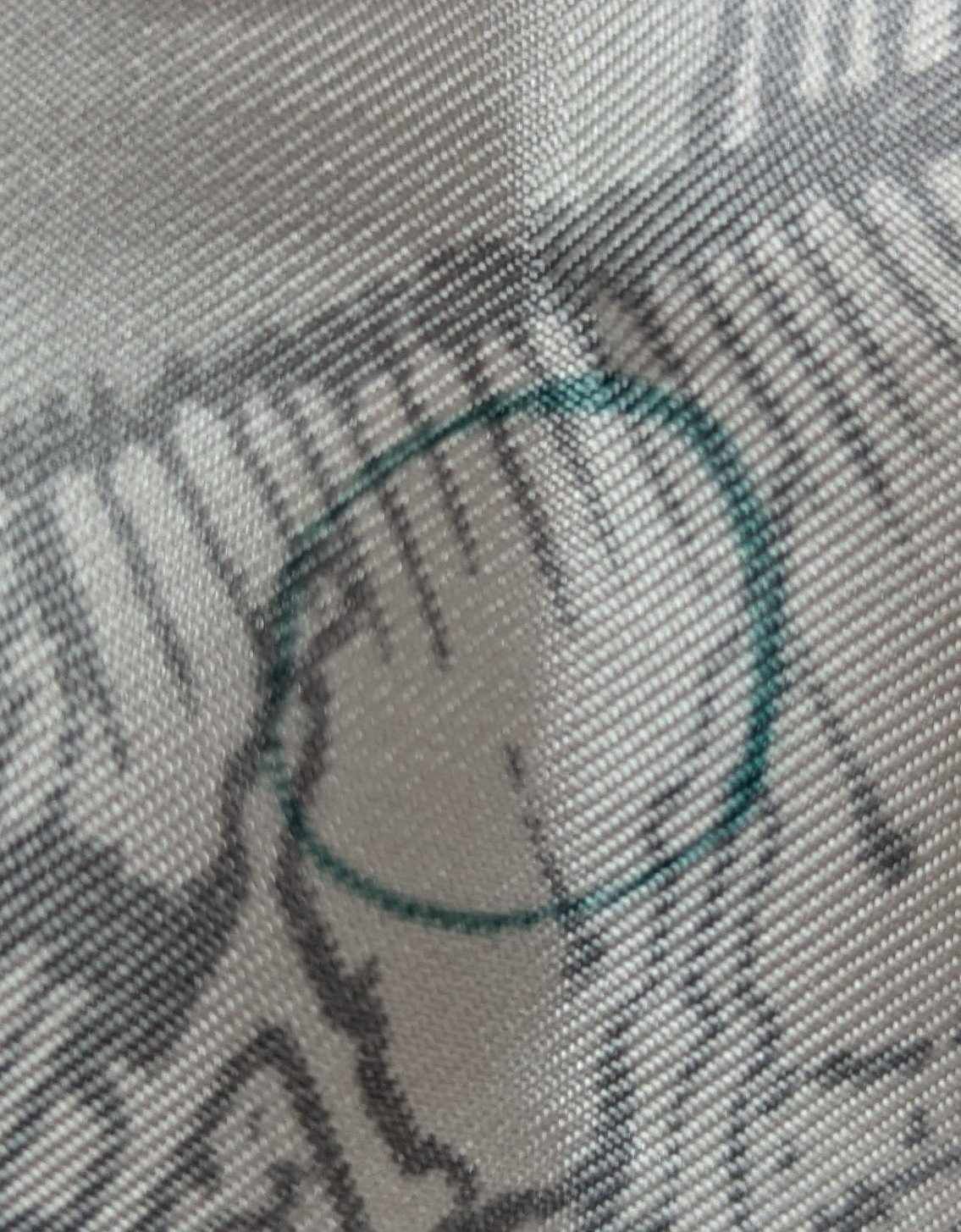 462547333_883853120361981_4774414620573735798_n.jpg