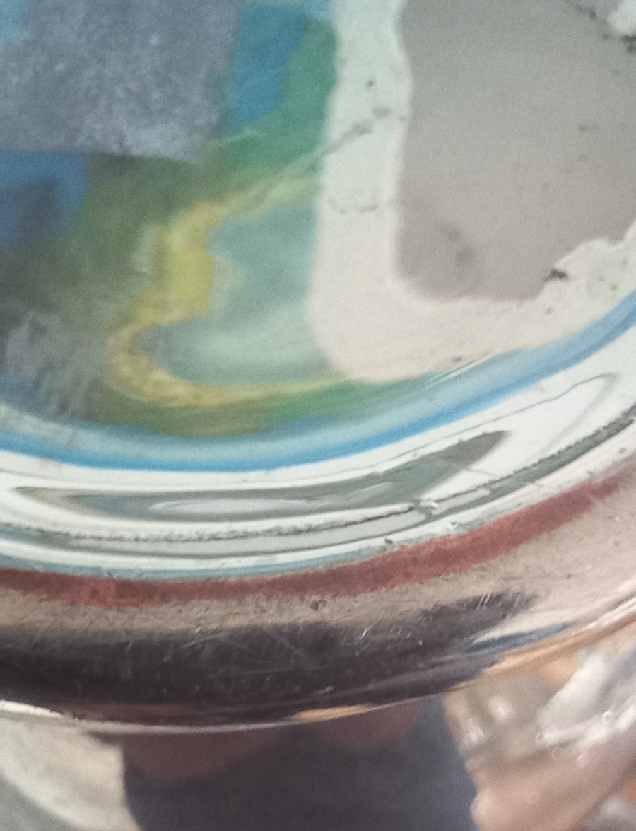20241015_101256.jpg