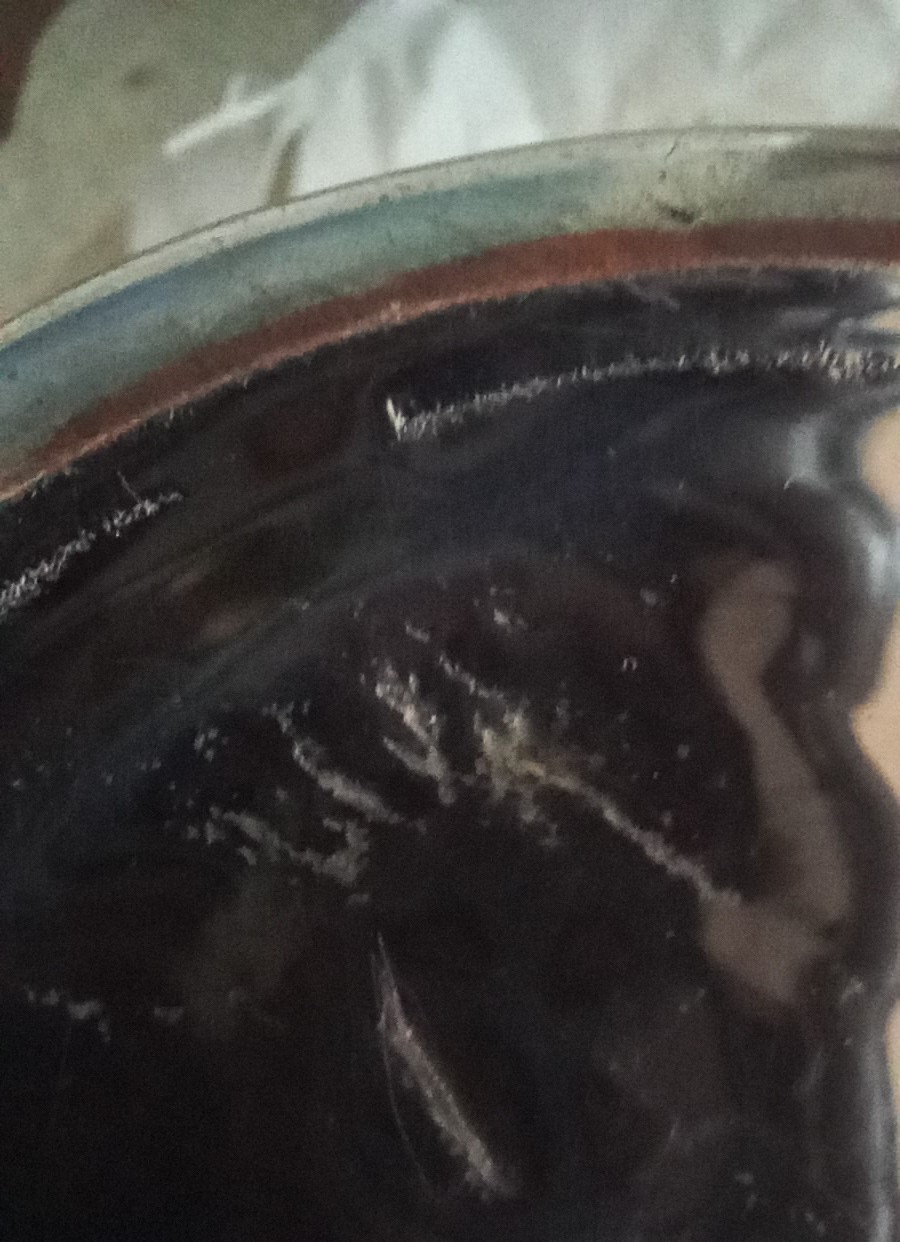 20241015_101310.jpg