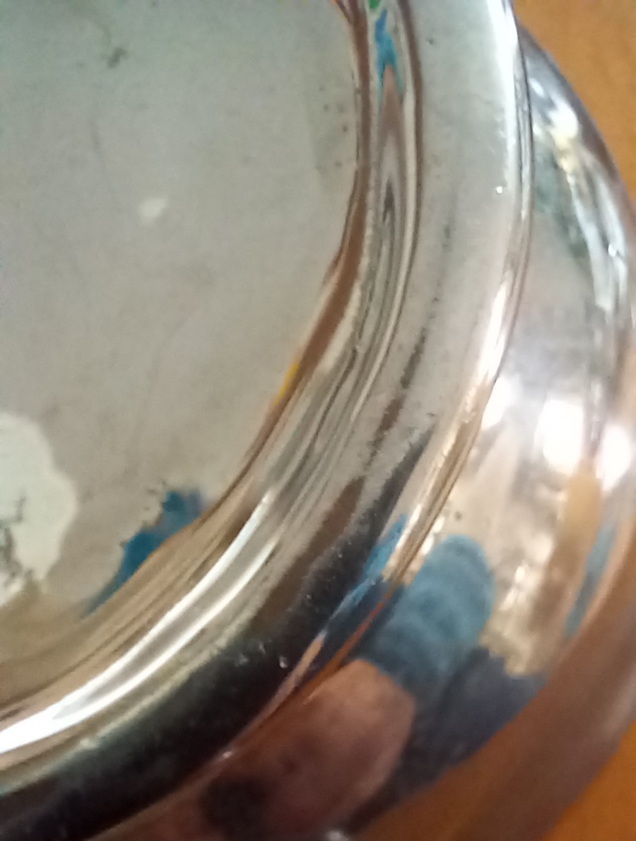 20241015_101531.jpg