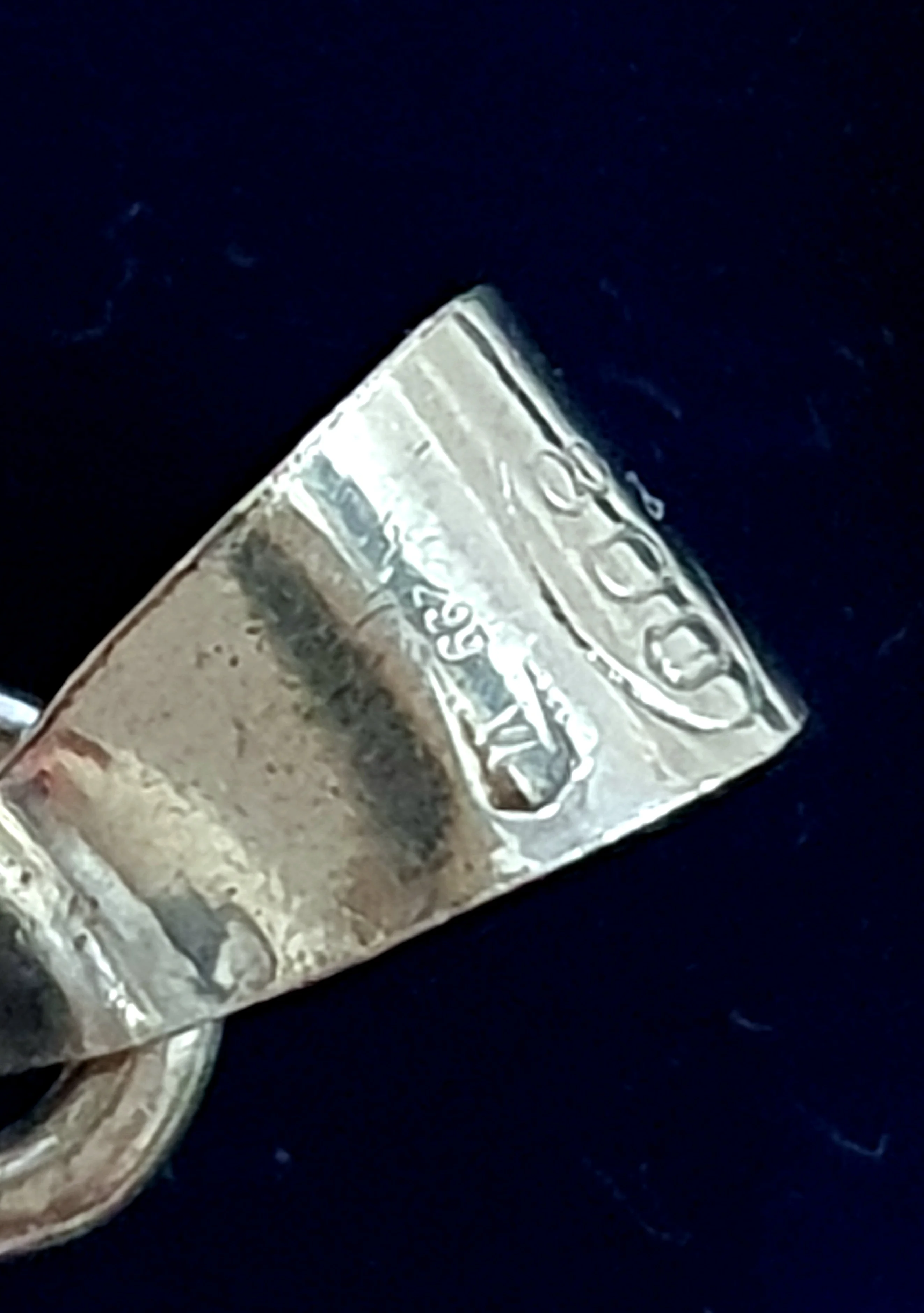 20240923_081503.jpg