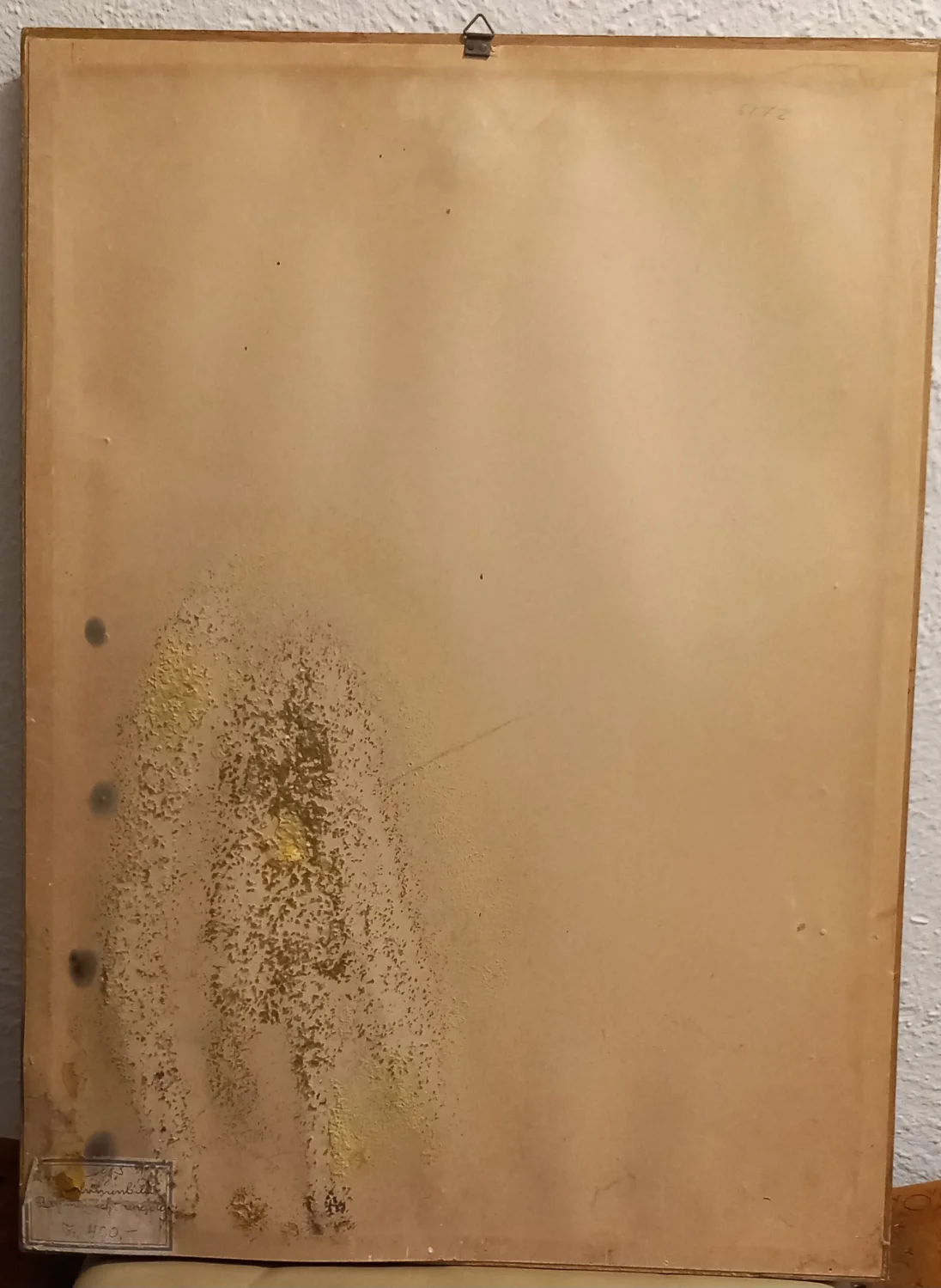 20241029_184030.jpg