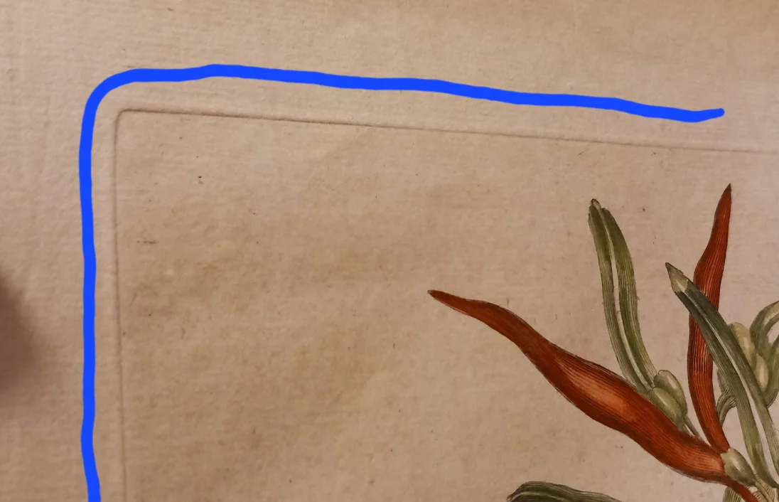 20241029_195900.jpg
