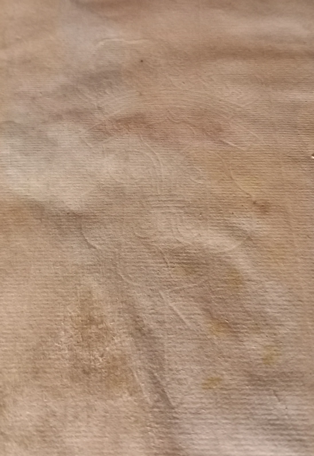 20241029_214615.jpg