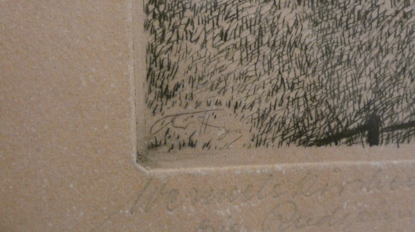 P101021544.png