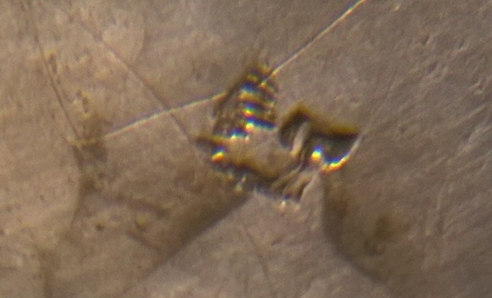 WP_20170707_003.jpg