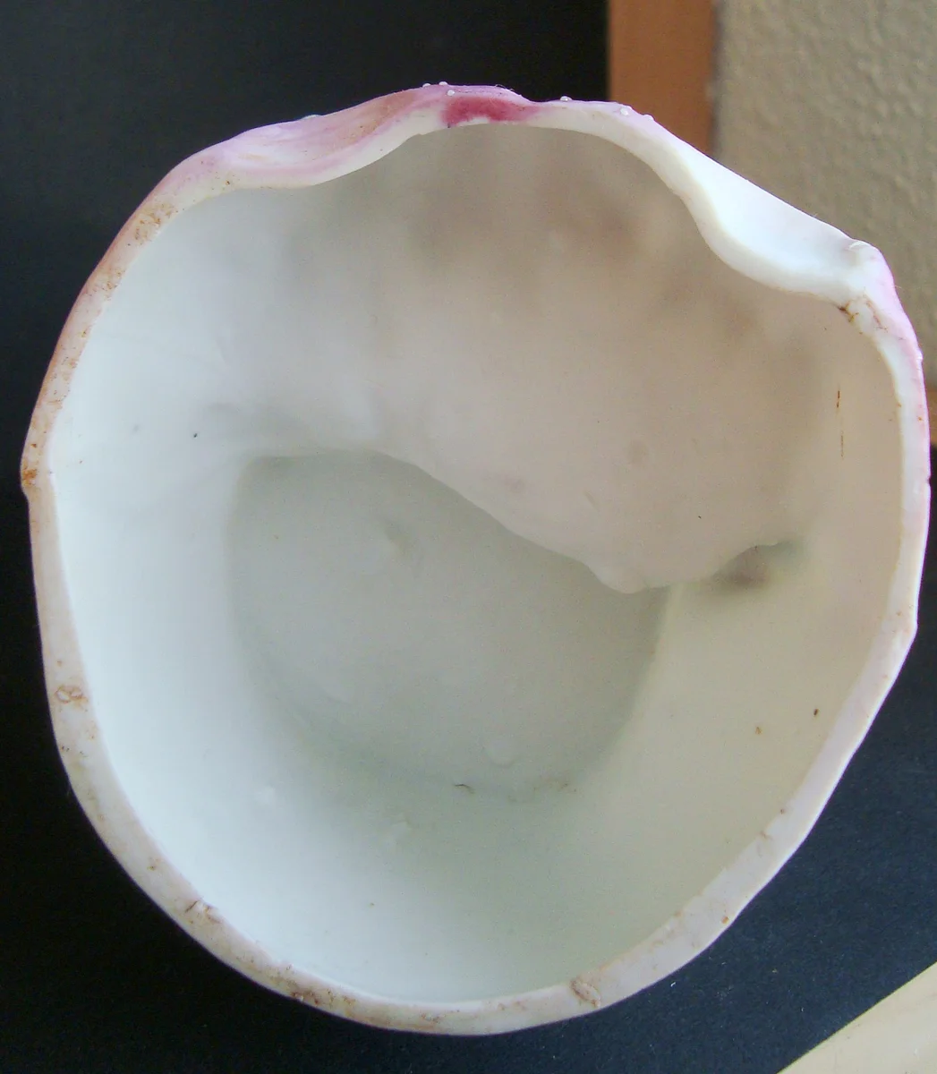DSC06432.JPG