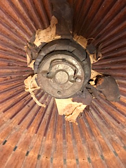 IMG_1083.jpg