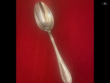 A7D90E38-9F21-4C88-8741-09AAADF07778_smaller.png