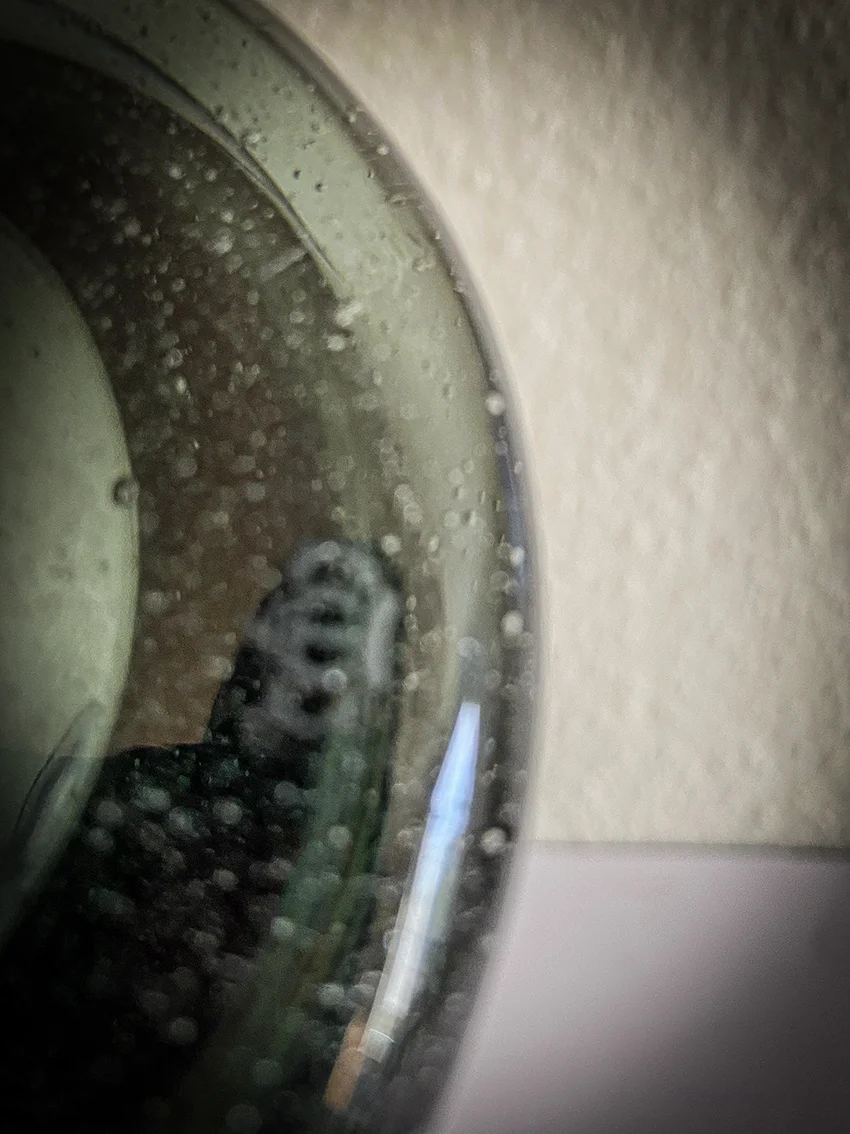 IMG_0093.jpeg