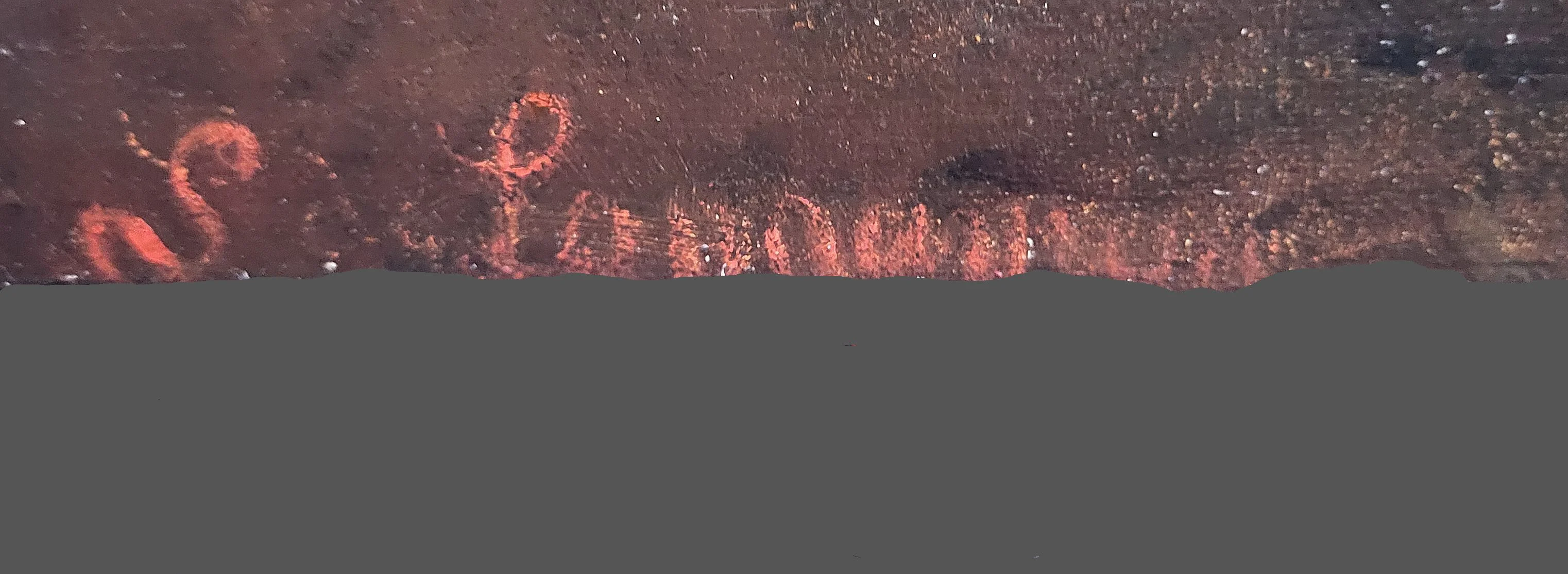 Stillleben Trauben Himbeeren_Signatur_neu3_markiert.jpg
