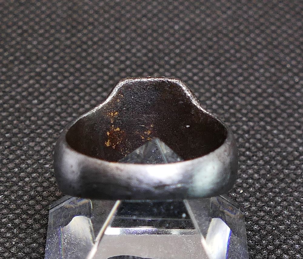 P1380563nn.jpg